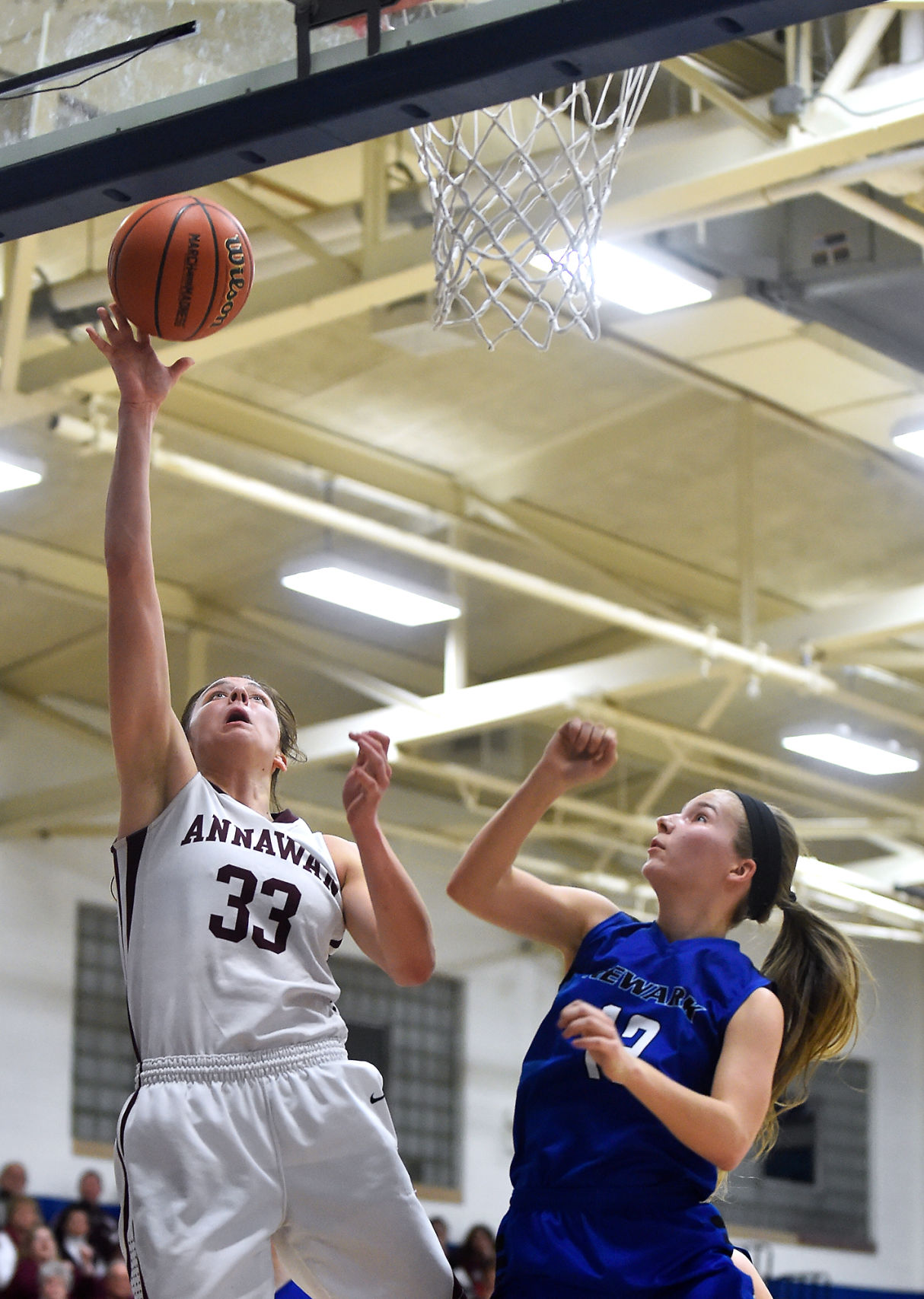Class 1A Hinchley-Big Rock Sectional Final: Annawan vs. Newark